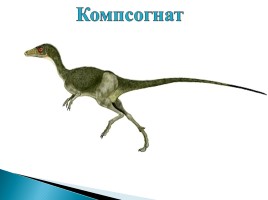 Появление и развитие жизни на Земле «Динозавры», слайд 8