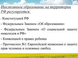 Инклюзивное образование в современных школах России, слайд 3