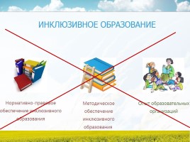 Инклюзивное образование в современных школах России, слайд 9