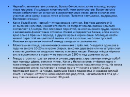 Проект «Животные и растения Кировской области, которые занесены в Красную книгу России», слайд 17
