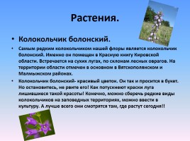 Проект «Животные и растения Кировской области, которые занесены в Красную книгу России», слайд 5