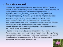 Проект «Животные и растения Кировской области, которые занесены в Красную книгу России», слайд 8