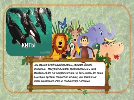 Игра «В мире животных», слайд 10