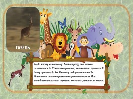 Игра «В мире животных», слайд 11