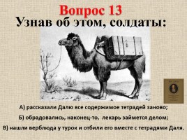 Владимир Иванович Даль (вопросы), слайд 20