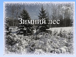 Литературное чтение 1 класс - И. Суриков «Зима», слайд 11