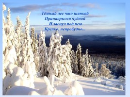 Литературное чтение 1 класс - И. Суриков «Зима», слайд 49