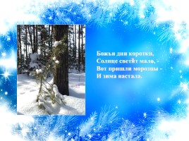 Литературное чтение 1 класс - И. Суриков «Зима», слайд 50