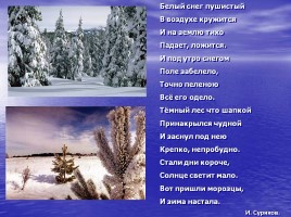 Литературное чтение 1 класс - И. Суриков «Зима», слайд 51