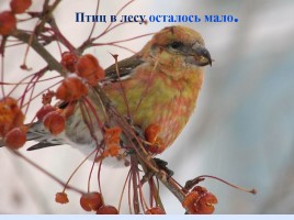 Литературное чтение 1 класс - И. Суриков «Зима», слайд 8