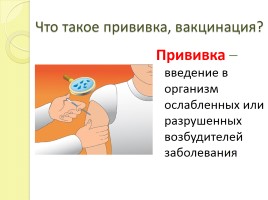 Исследовательская работа «Почему нужно делать прививки?», слайд 5