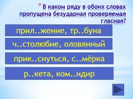 Интерактивный тест по русскому языку 7 класс «Фонетика - Орфография», слайд 13