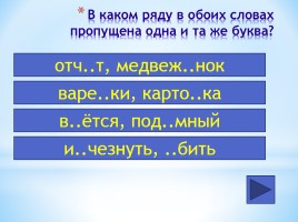 Интерактивный тест по русскому языку 7 класс «Фонетика - Орфография», слайд 8
