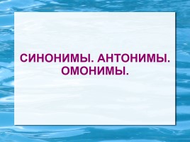 Синонимы - Антонимы - Омонимы