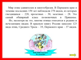 Викторина «Птицы Красной книги Среднего Урала», слайд 2
