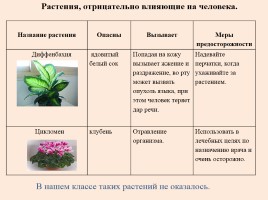 Исследовательская работа «Растения нашего класса - польза или вред», слайд 21