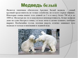 Урок окружающего мира в 3 классе «Охрана животных», слайд 11