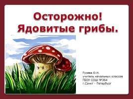Осторожно! Ядовитые грибы