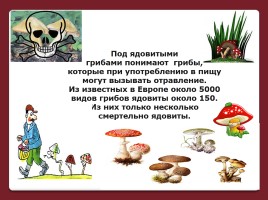 Осторожно! Ядовитые грибы, слайд 2