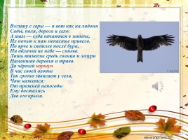 Образ птицы в творчестве В.Н. Дворянскова «Когда душа парит...», слайд 19