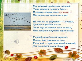 Образ птицы в творчестве В.Н. Дворянскова «Когда душа парит...», слайд 20