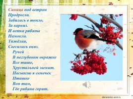 Образ птицы в творчестве В.Н. Дворянскова «Когда душа парит...», слайд 22