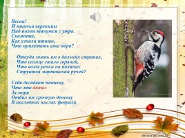 Образ птицы в творчестве В.Н. Дворянскова «Когда душа парит...», слайд 26