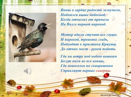 Образ птицы в творчестве В.Н. Дворянскова «Когда душа парит...», слайд 27