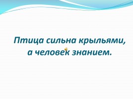 Урок русского языка 3 класс «Правописание ь знака после шипящих на конце имен существительных», слайд 2