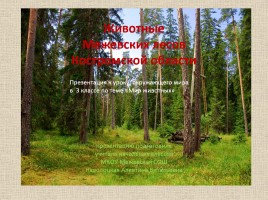 Животные Межевских лесов Костромской области, слайд 1