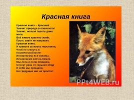 Животные Межевских лесов Костромской области, слайд 10