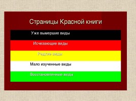 Животные Межевских лесов Костромской области, слайд 11