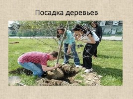 Животные Межевских лесов Костромской области, слайд 23