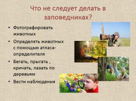 Животные Межевских лесов Костромской области, слайд 26