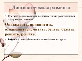 Урок русского языка 7 класс «Описание внешности человека», слайд 3