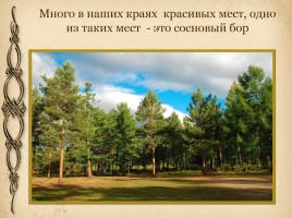 История Никольского храма деревни Метлино Торопецкого района, слайд 4