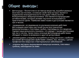 Изучение влияния фитонцидов на микроорганизмы и плесневые грибки, слайд 18