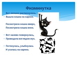 Окружающий мир 1 класс «Кошки», слайд 14