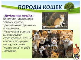 Окружающий мир 1 класс «Кошки», слайд 15