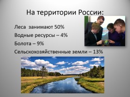 Школьный проект - Россия «Цифры и проценты», слайд 4