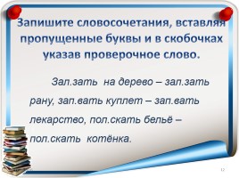 Русский язык 3 класс «Омонимы», слайд 12