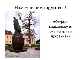 История города Луховицы и Луховицкого района, слайд 12
