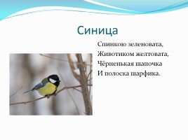 Загадки про зимующих птиц, слайд 4