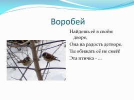 Загадки про зимующих птиц, слайд 5