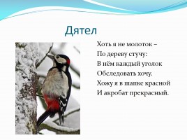 Загадки про зимующих птиц, слайд 6
