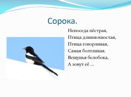 Загадки про зимующих птиц, слайд 7