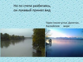 Михаил Юрьевич Лермонтов «Дары Терека», слайд 11