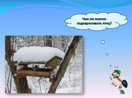 Мир вокруг нас «Как зимой помочь птицам?», слайд 54