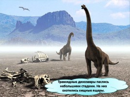Мир вокруг нас «Когда жили динозавры?», слайд 16