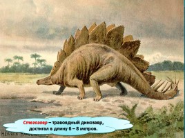 Мир вокруг нас «Когда жили динозавры?», слайд 20